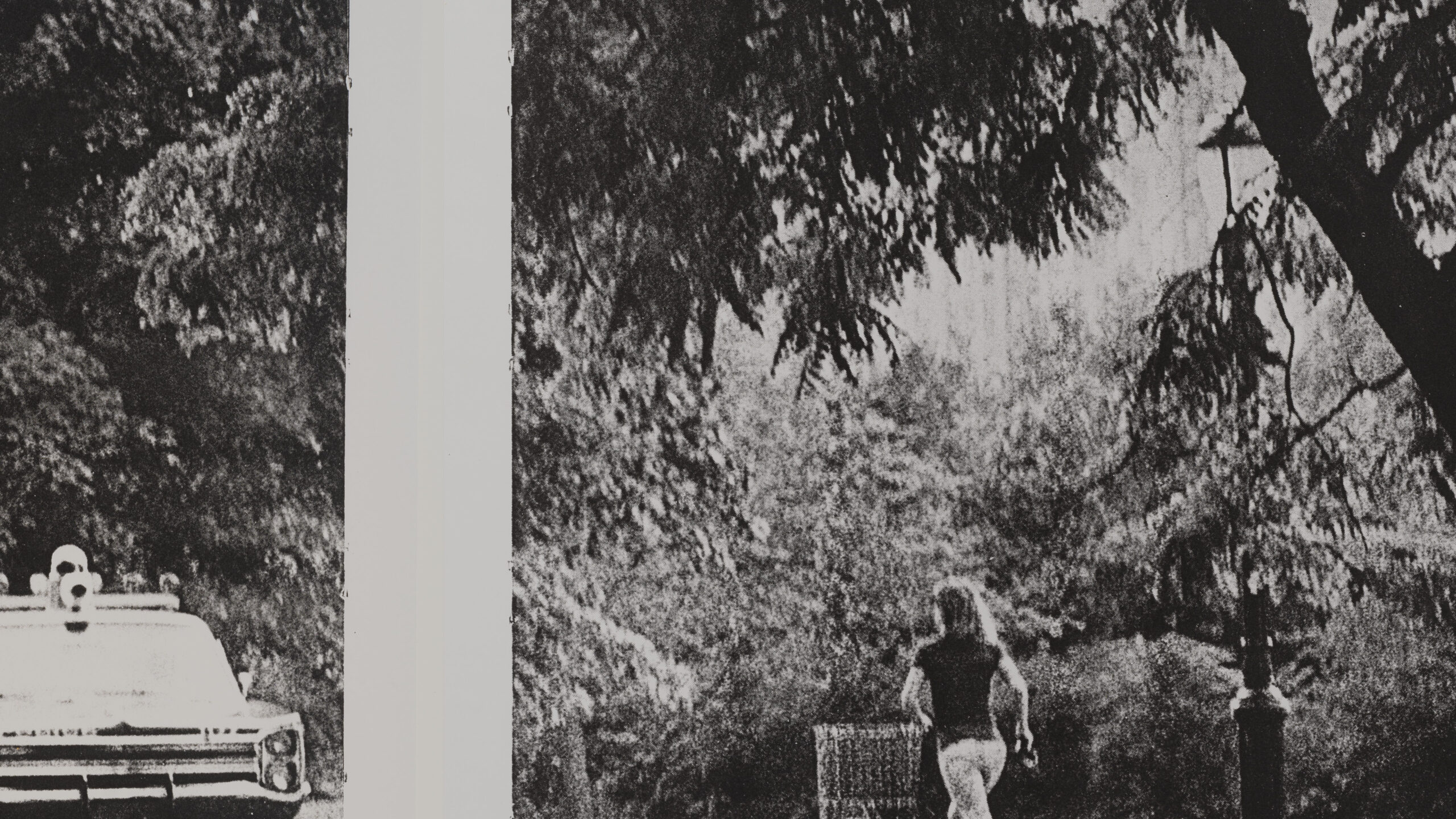 Lutz Bacher, Jackie & Me, 1989. Detail. Astrup Fearnley-samlingen.